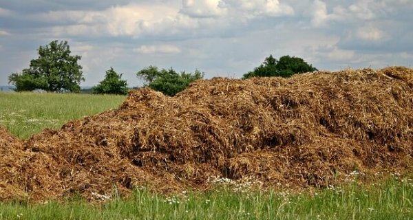 stockage des effluents au champ