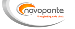 Logo-Novoponte