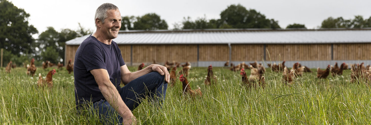 poules pondeuses plein air bio