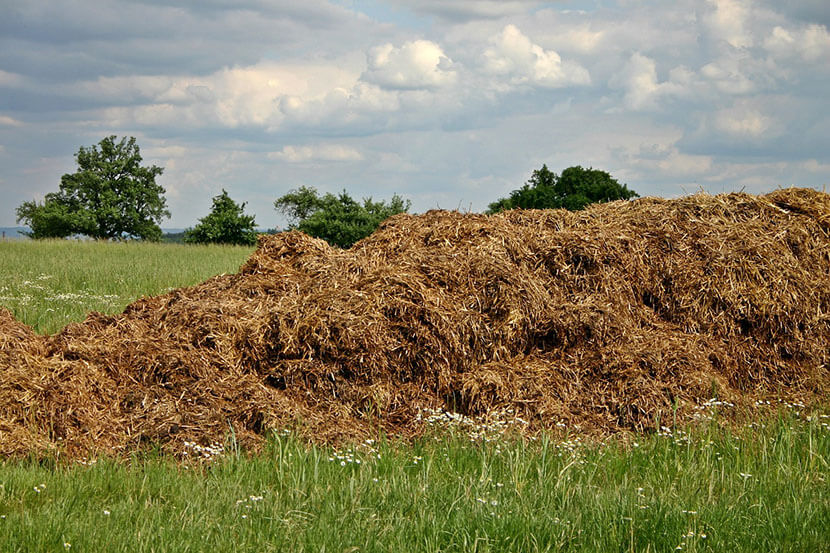 gestion du fumier en exploitation agricole