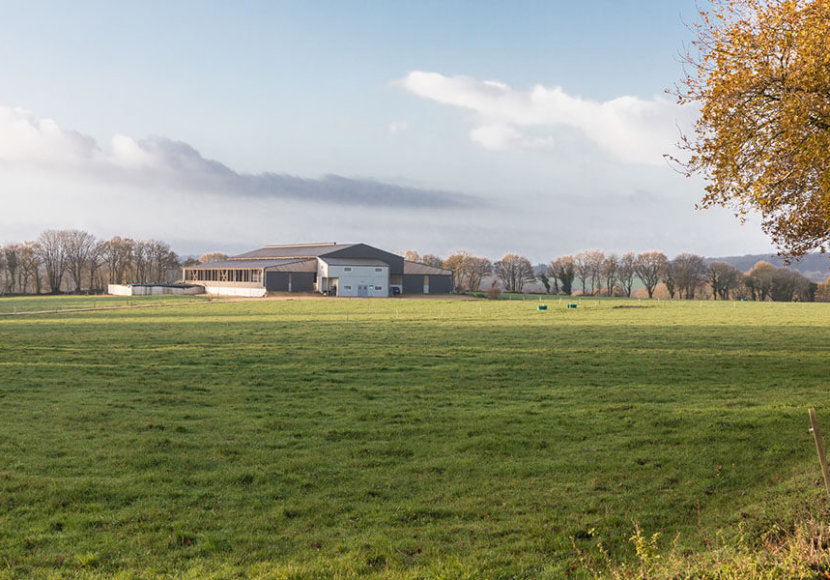 exploitation agricole laitière