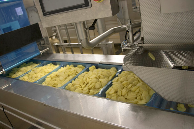 usine de transformation de légumes