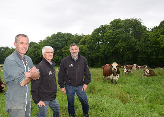 technicien ruminant aux côtés de l'éleveur