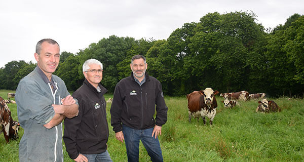 technicien ruminant aux côtés de l'éleveur