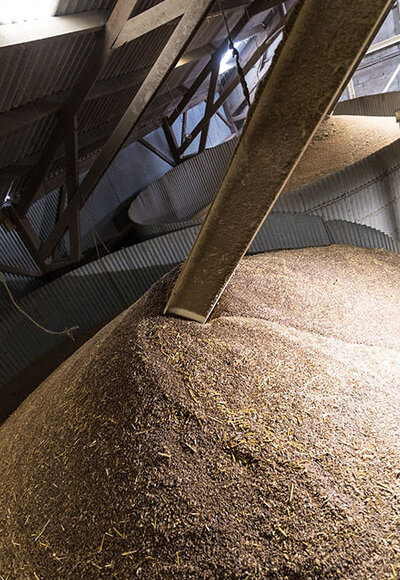 conservation des grains en silo vertical