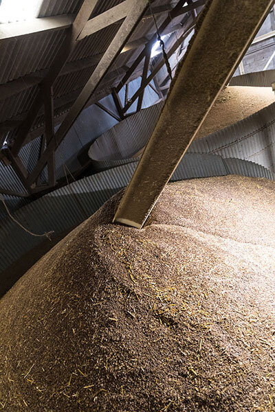 conservation des grains en silo vertical