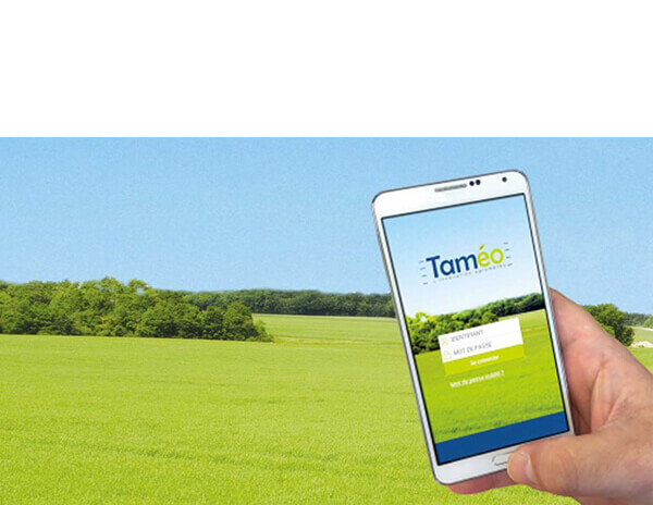 tameo-le-gouessant