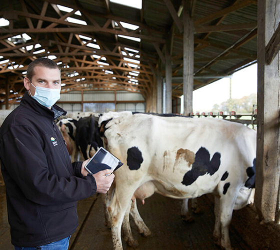 Technicien ruminant